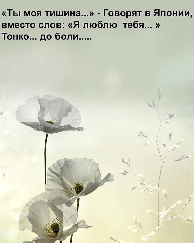 Ты моя тишина